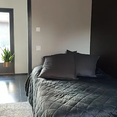 Willa New Paradise *